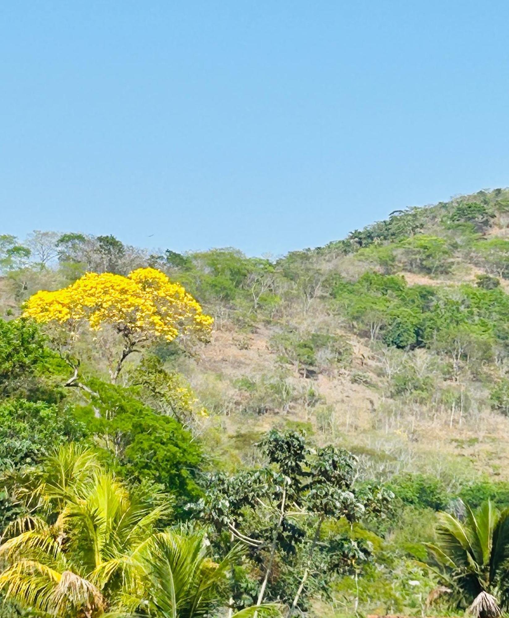Pousada Casa Do Jova Em Raposo Rj Esterno foto
